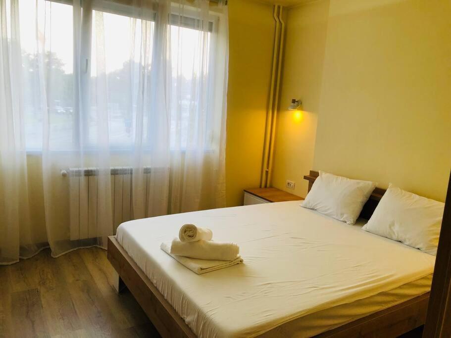 Joy City Stay Victoriei 7G-3 Temešvár Exteriér fotografie